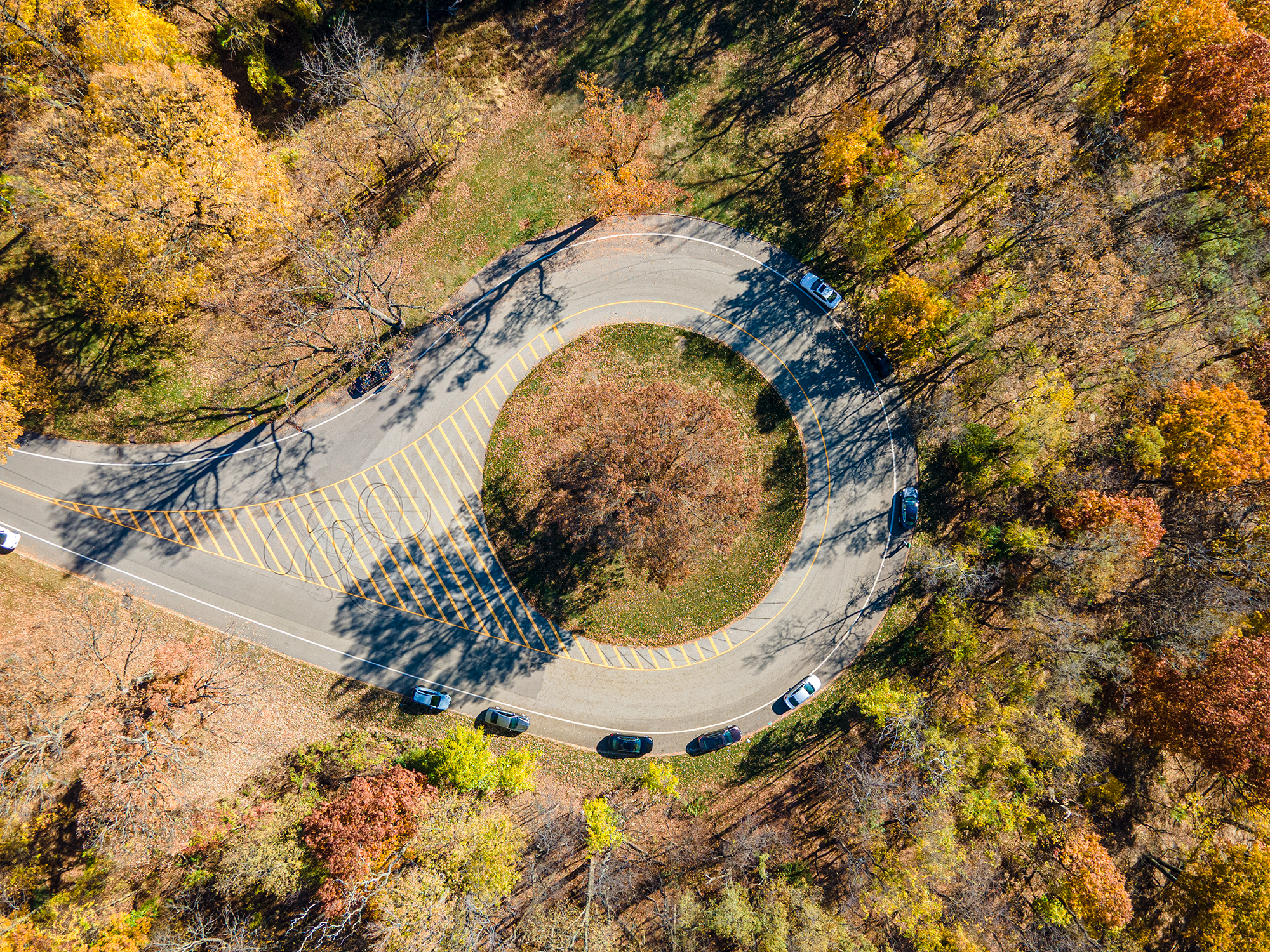 Top down fall foliage of a traffic circle